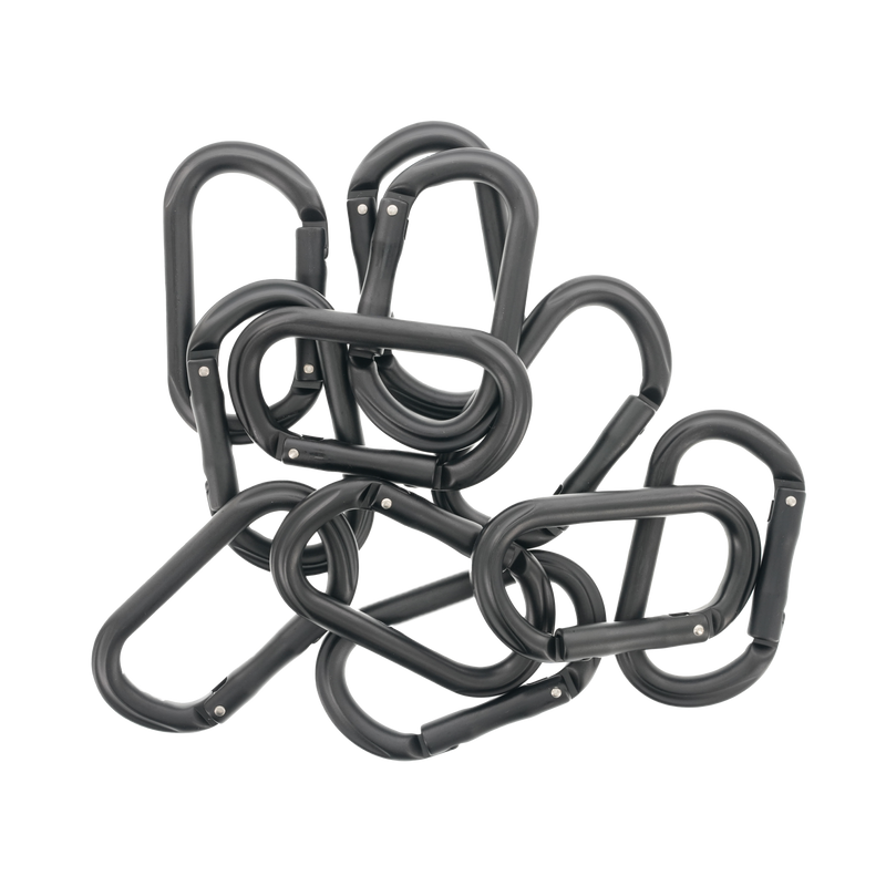 Rollercam Carabiner (Pack of 1)